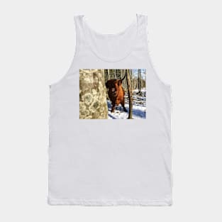 Scottish Highland Cattle Cow 2346 Tank Top